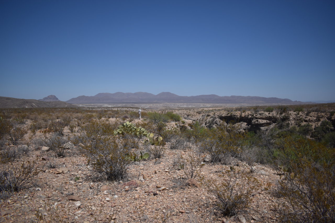 DSC_0337.jpg