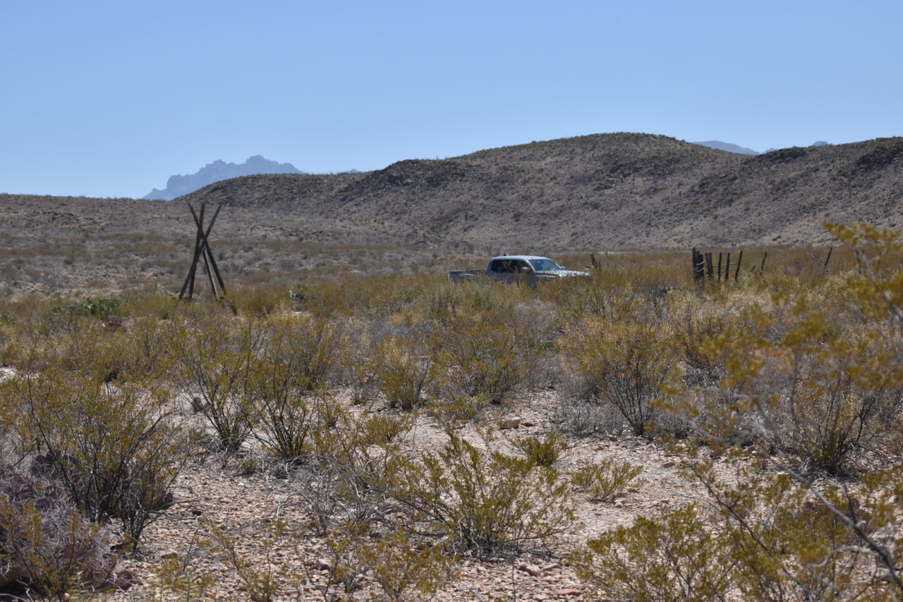 DSC_0342.jpg