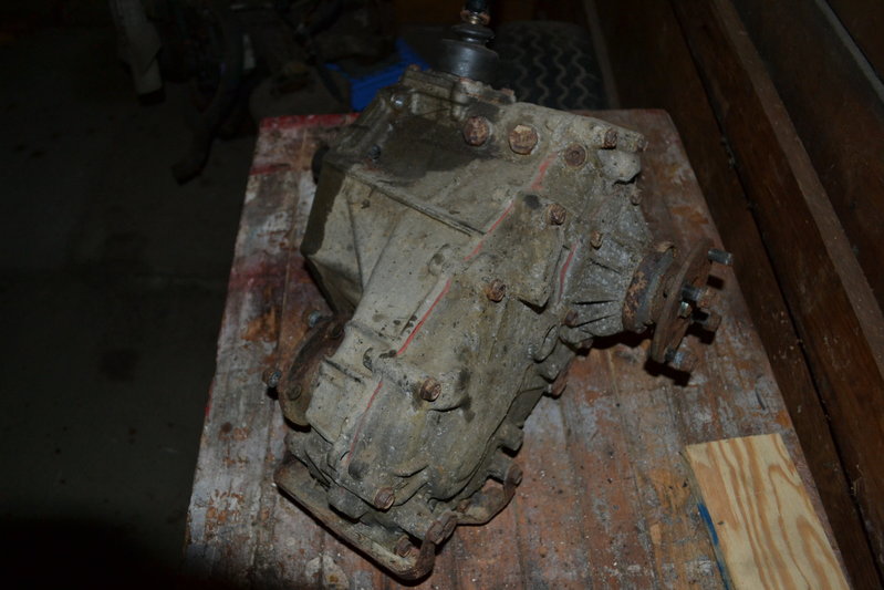 DSC_0342.jpg