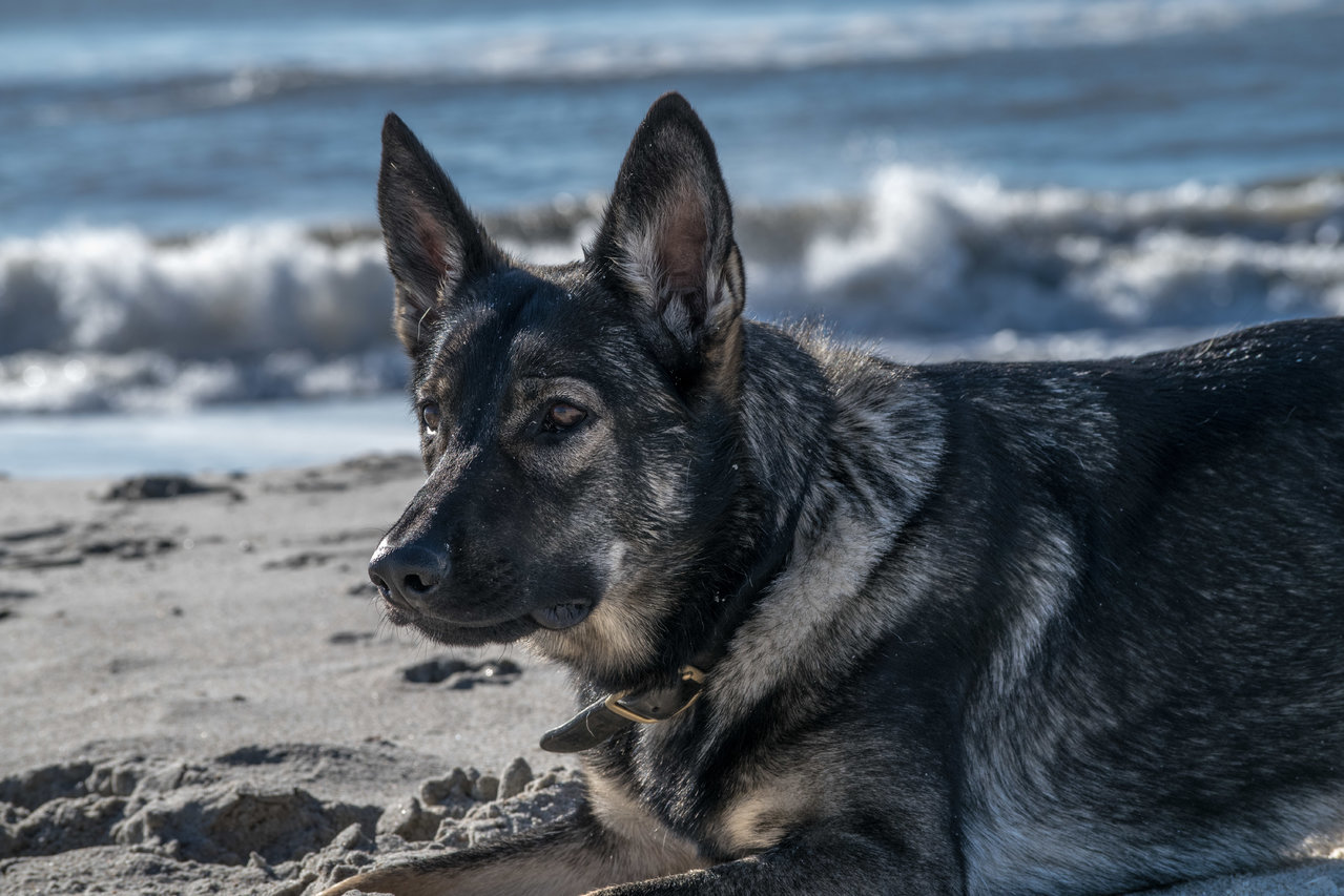 DSC_0343.jpg