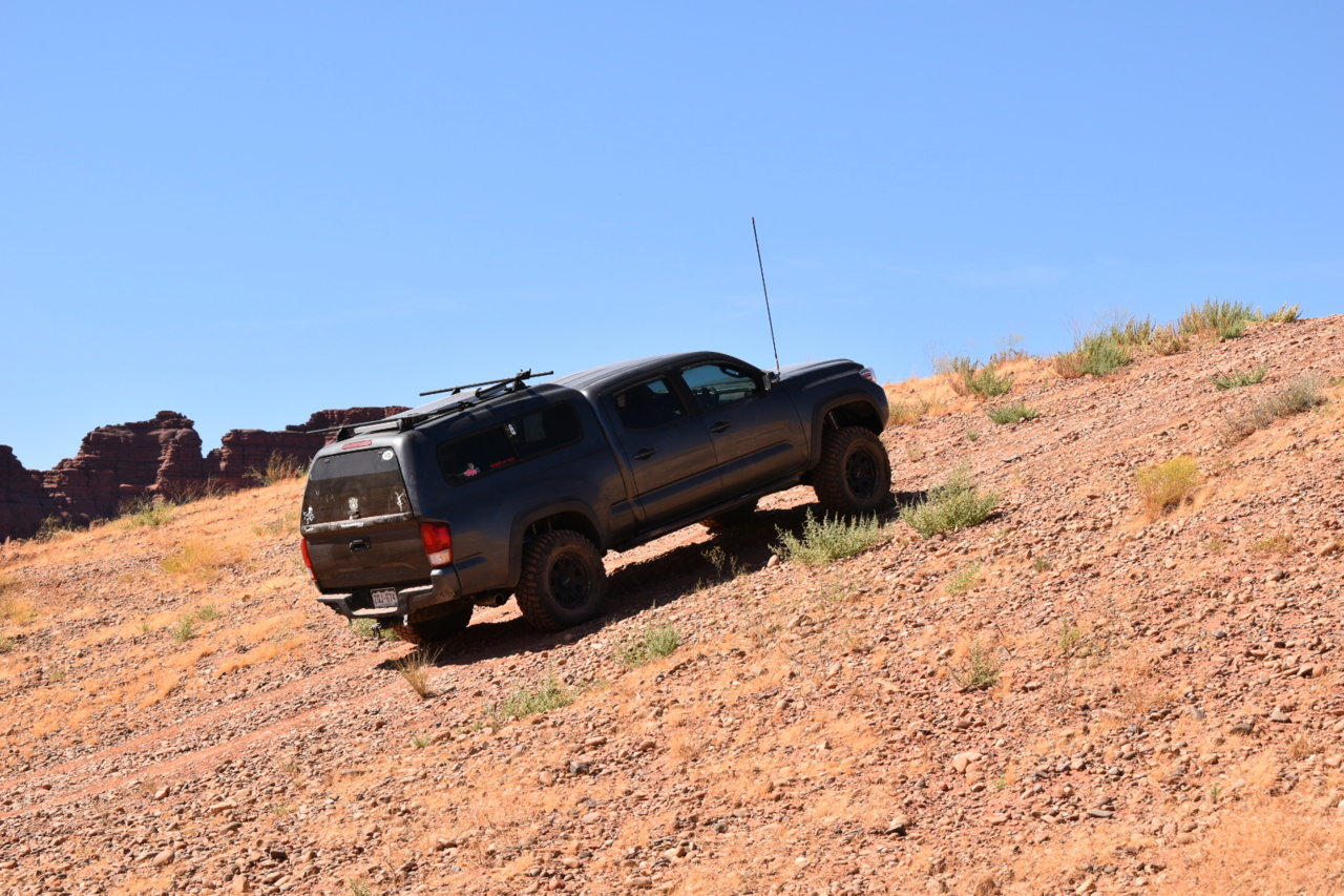DSC_0347.jpg