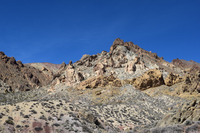 DSC_0351.jpg
