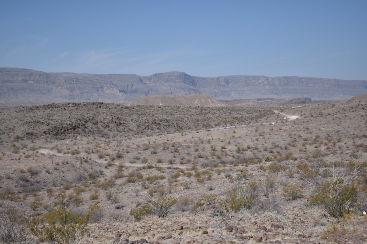 DSC_0358.jpg
