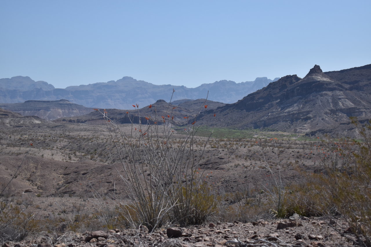 DSC_0365.jpg