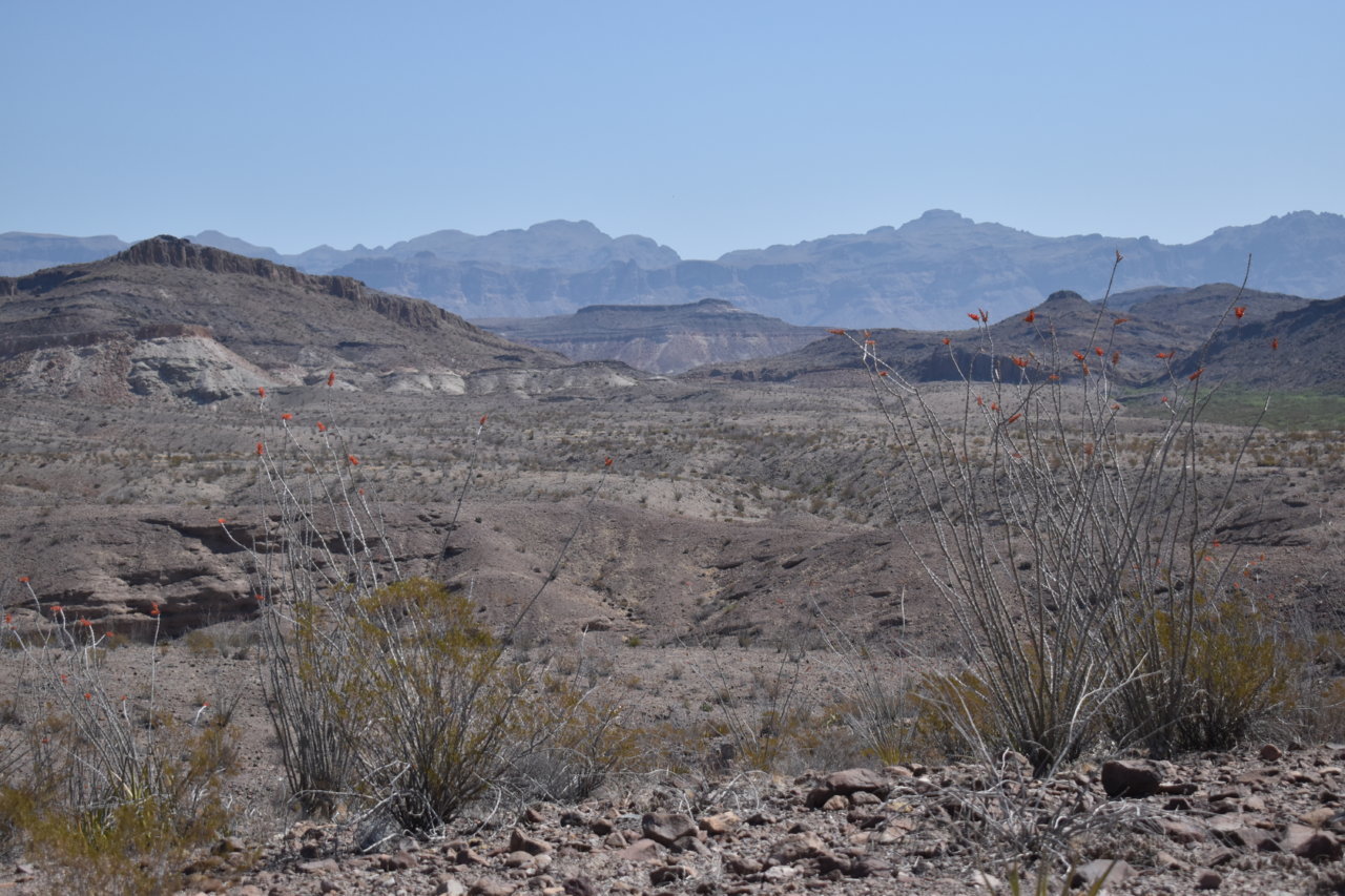 DSC_0366.jpg