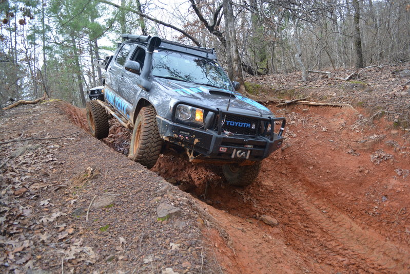 DSC_0367.jpg