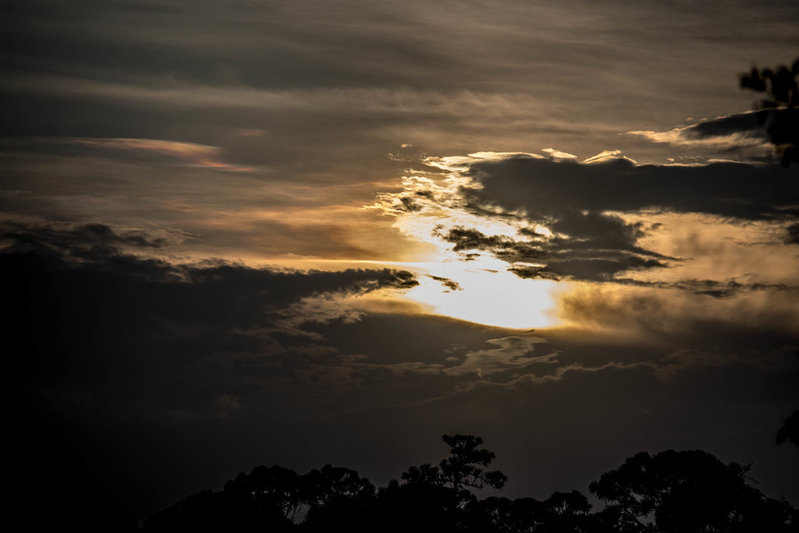 DSC_0369.jpg