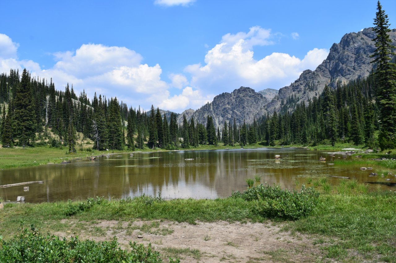 DSC_0381.jpg