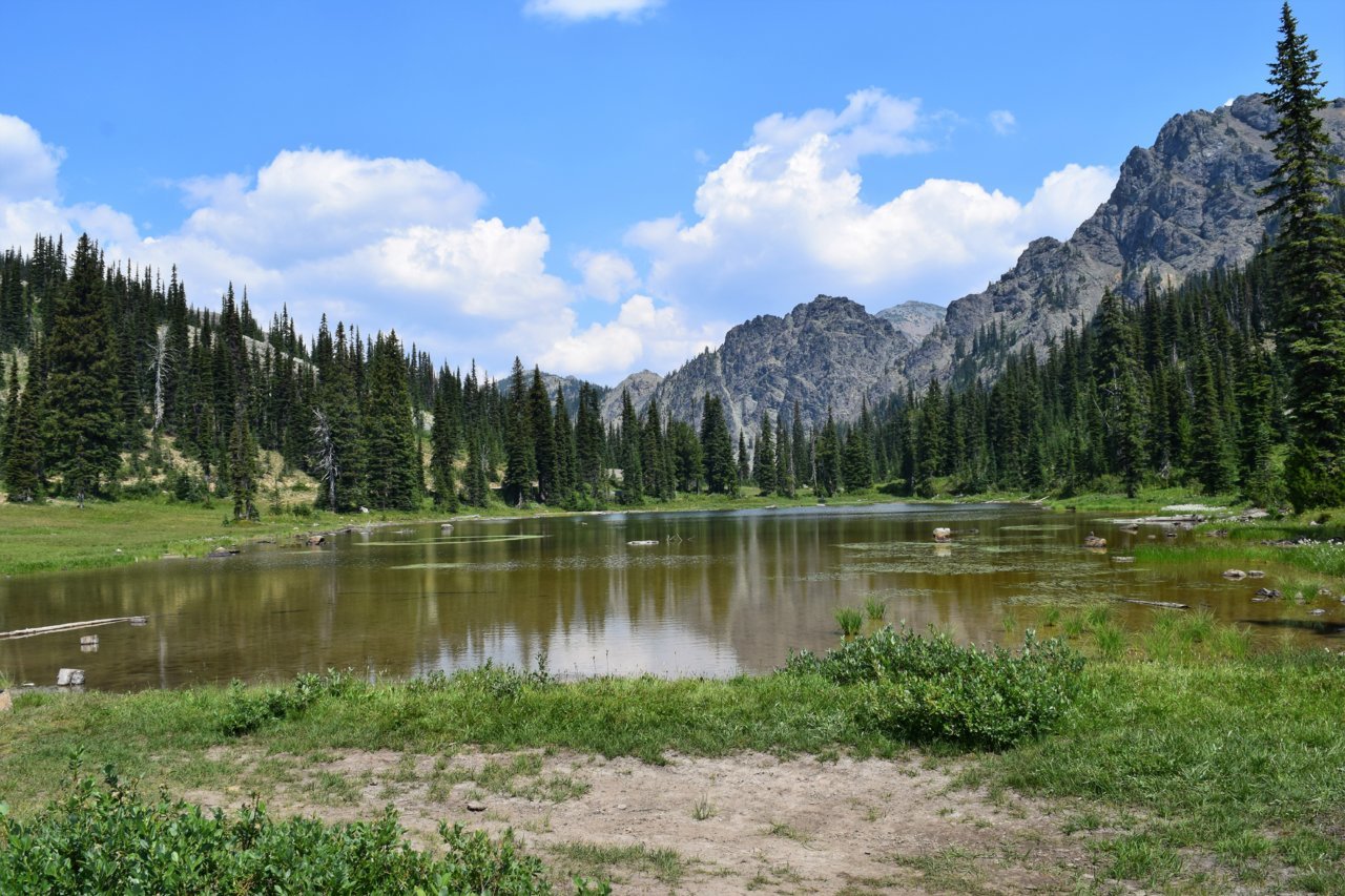 Gallagher Head Lake Washington wheeling trip August 4th | Page 9 ...