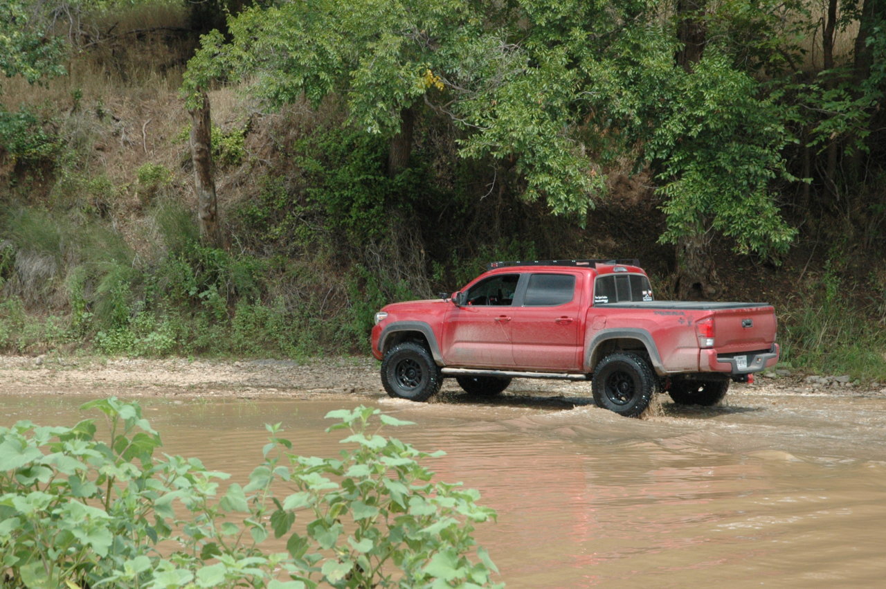 DSC_0381.jpg