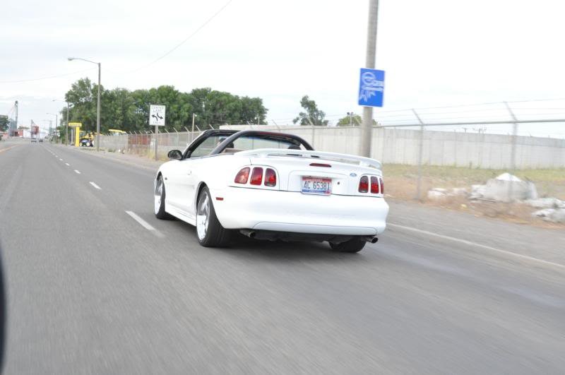 DSC_0385_787393cdbcec0b0ba748ff493c68bd98ead526ad.jpg