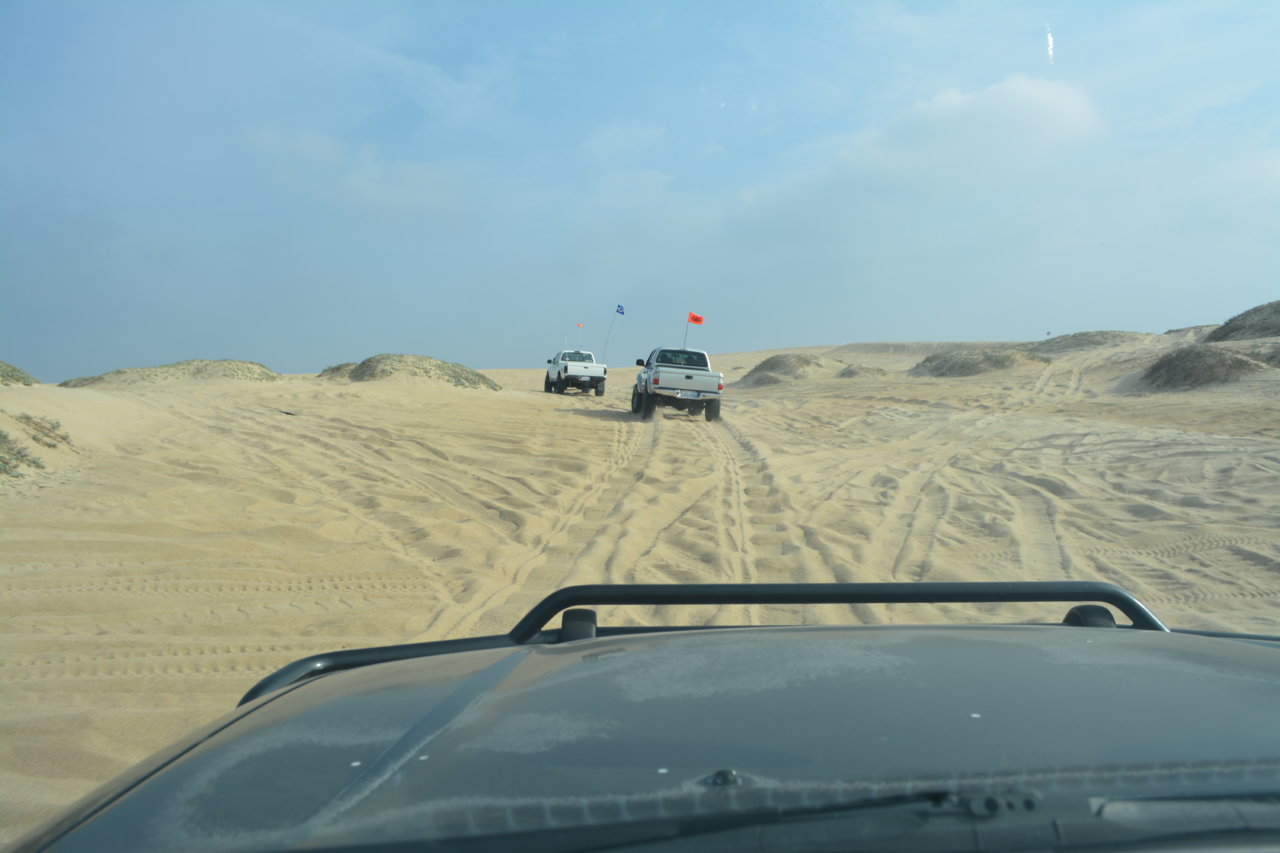 DSC_0387.jpg