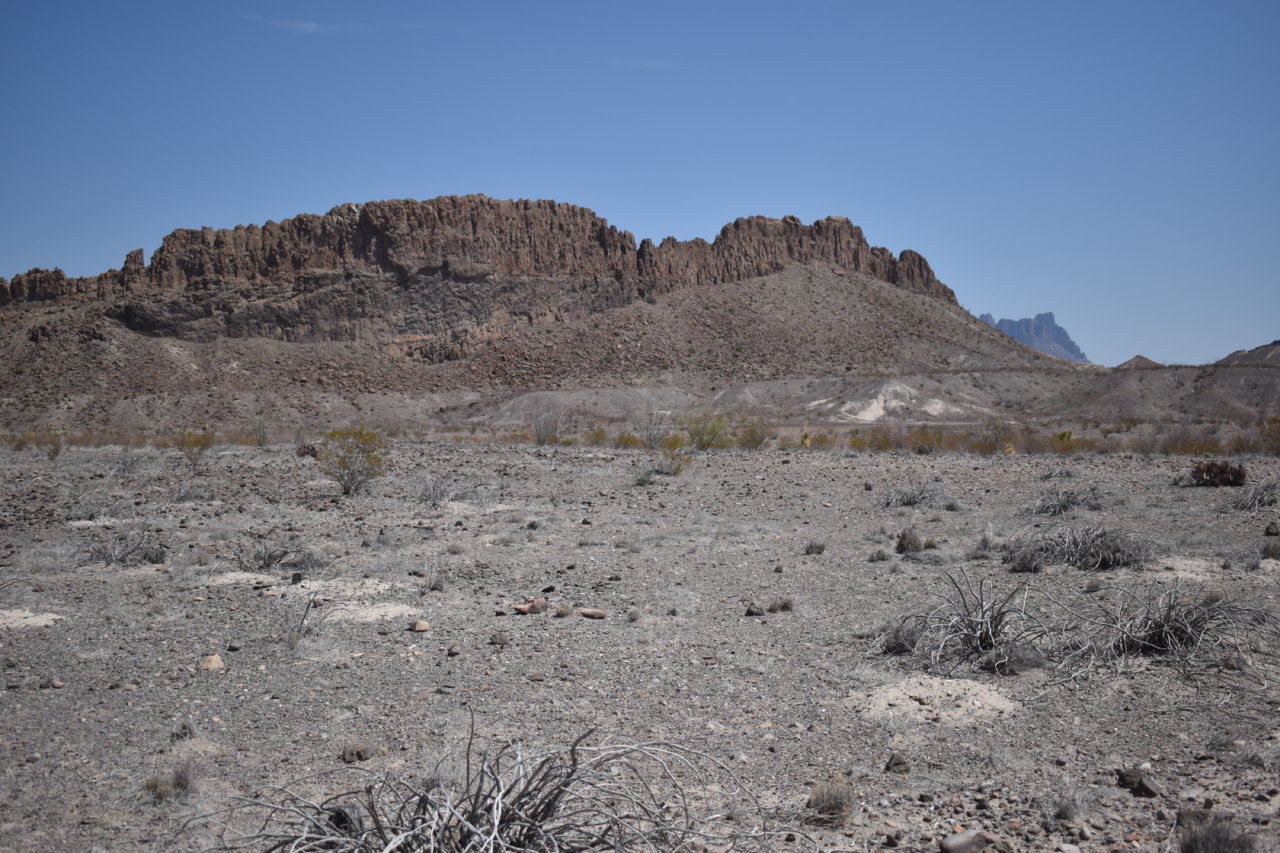 DSC_0387.jpg