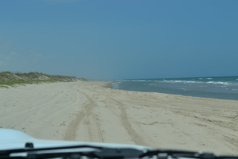 DSC_0390.jpg