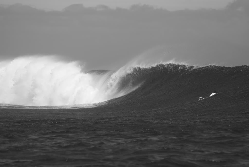 DSC_0399_a7645e675f7d0c42b7c83bd1269b1e3d822758a0.jpg