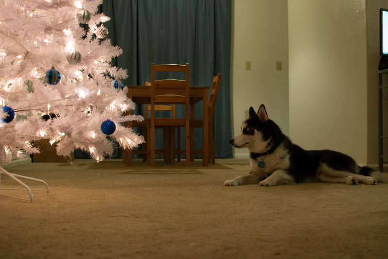 DSC_0406.jpg