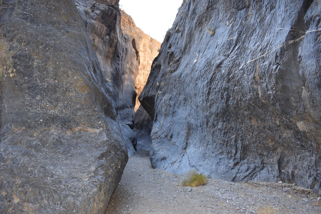 DSC_0412.jpg