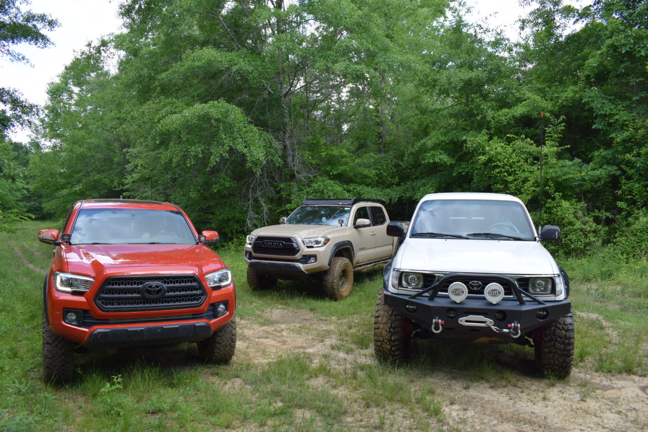 DSC_0424.jpg
