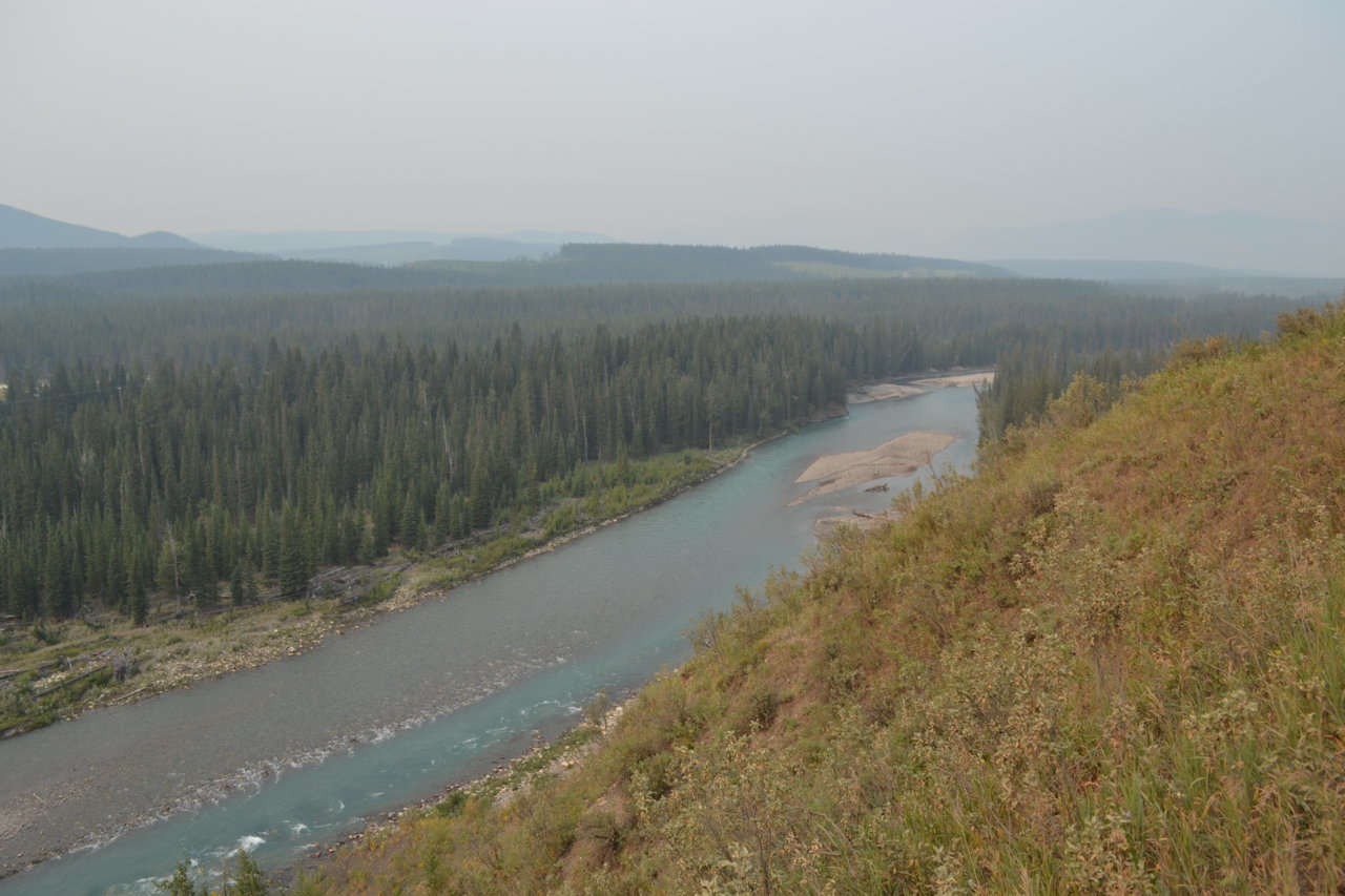 DSC_0426.jpg