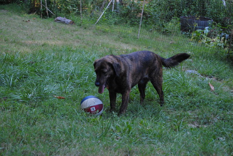 DSC_0427.jpg
