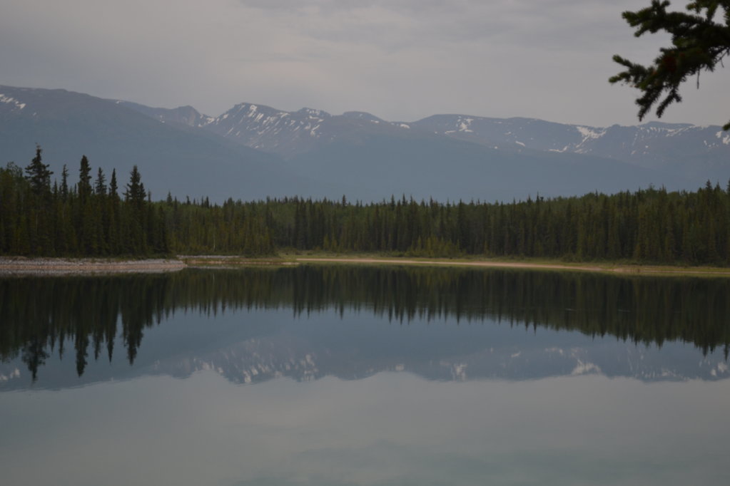 DSC_0427.jpg