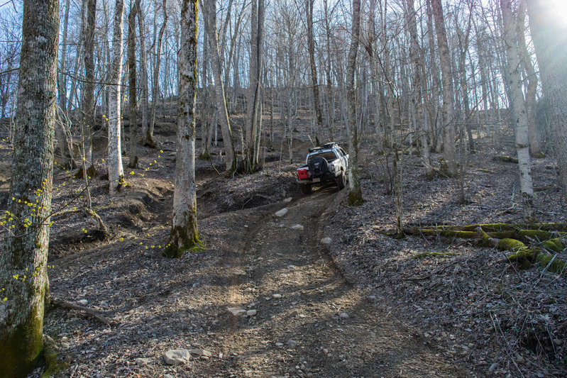 DSC_0433.jpg