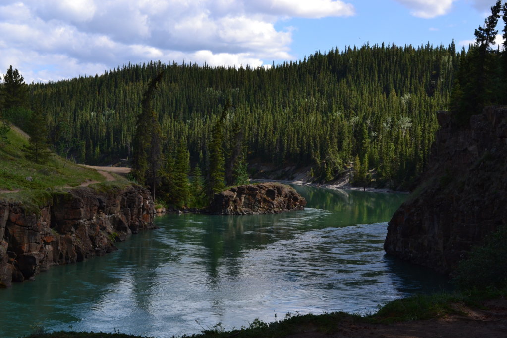 DSC_0436.jpg