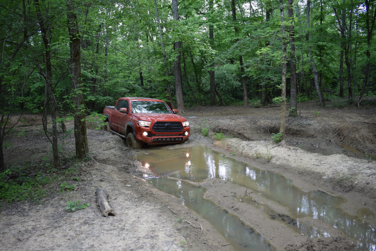 DSC_0437.jpg