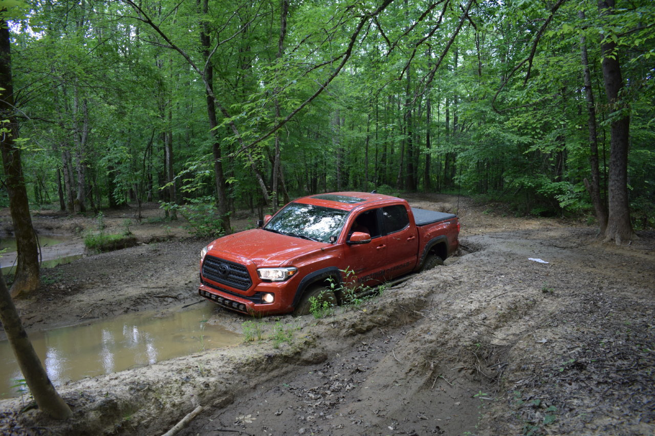 DSC_0438.jpg