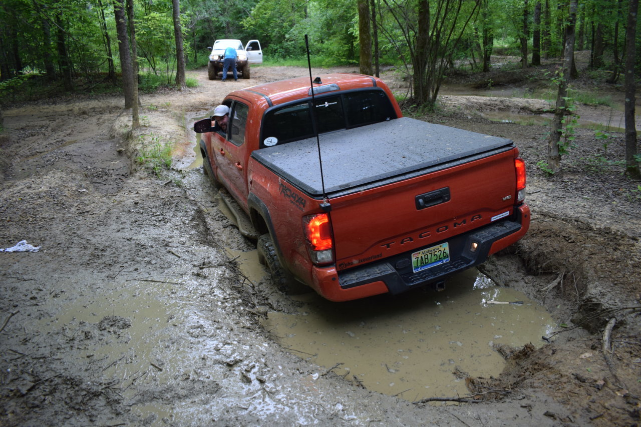 DSC_0439.jpg
