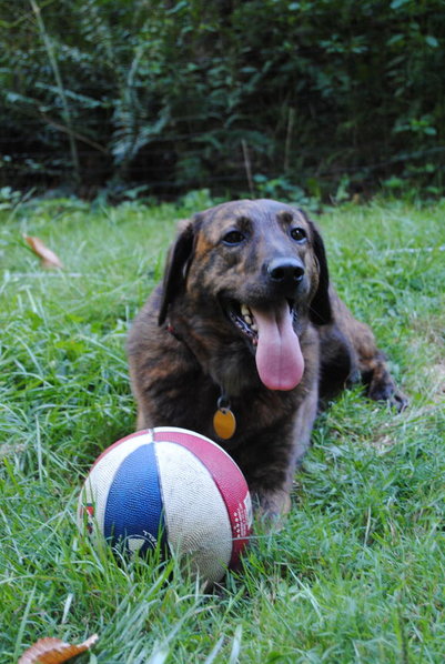 DSC_0440.jpg