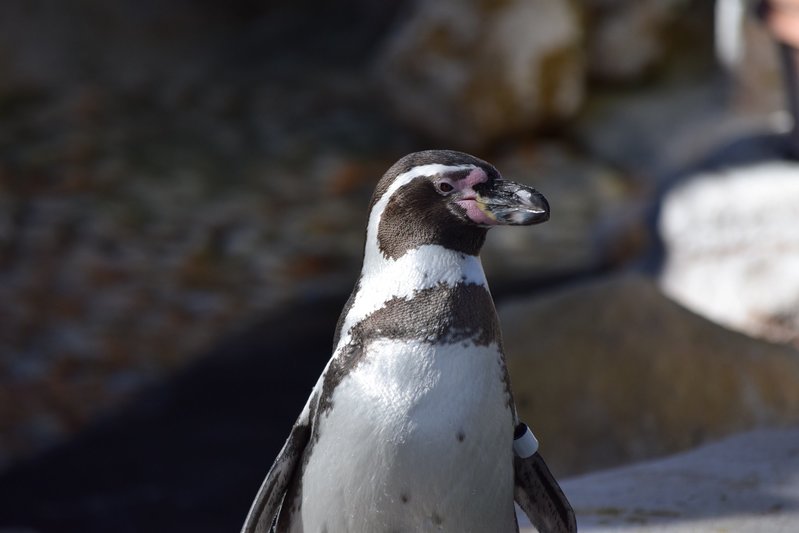 DSC_0440.jpg