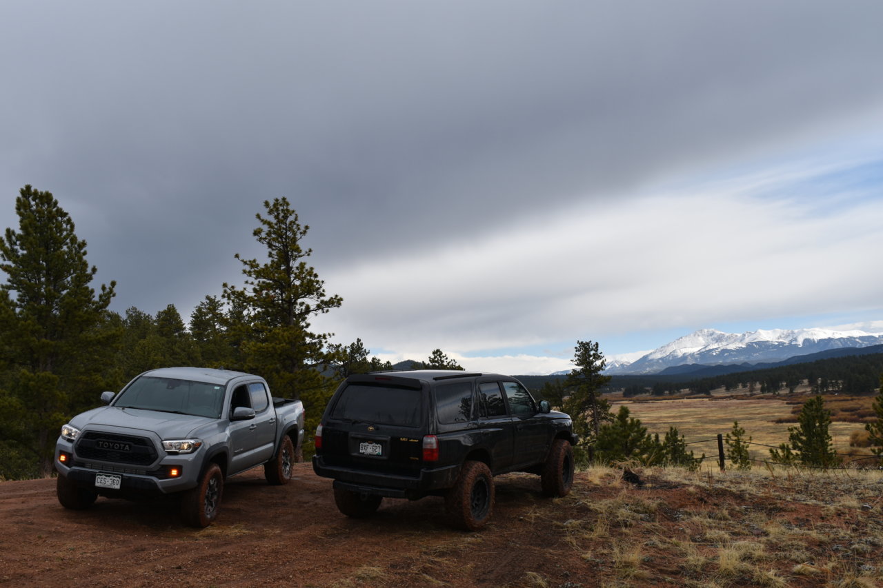 DSC_0442.jpg