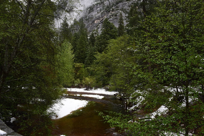 DSC_0444.jpg