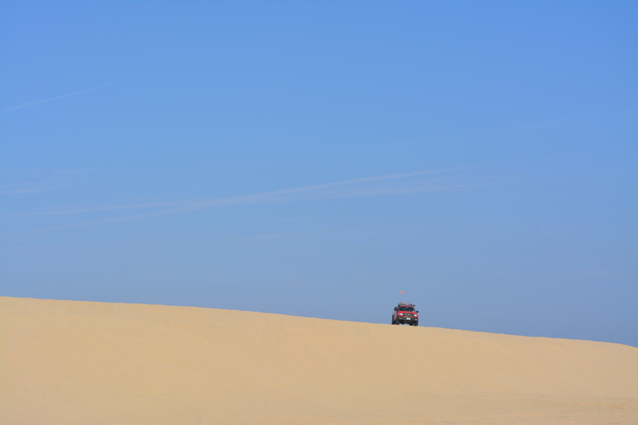 DSC_0445.jpg
