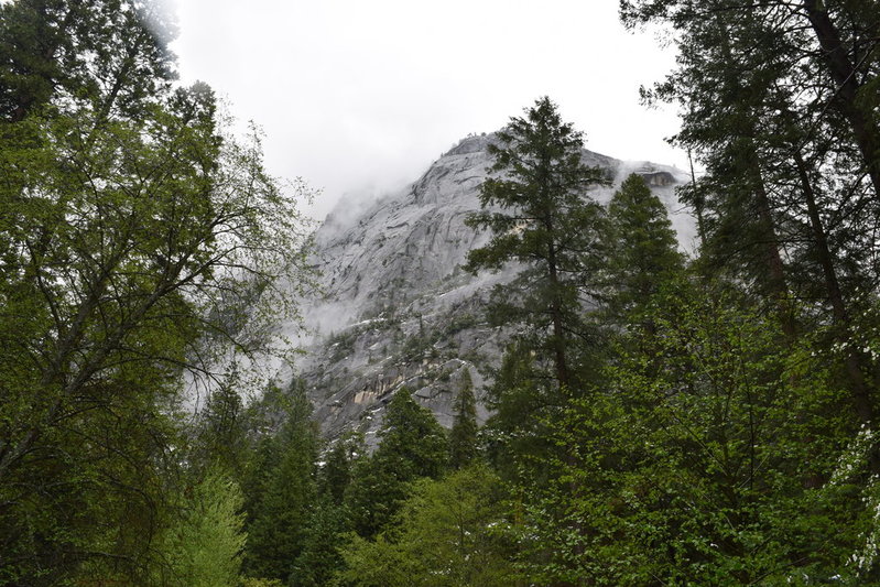 DSC_0445.jpg