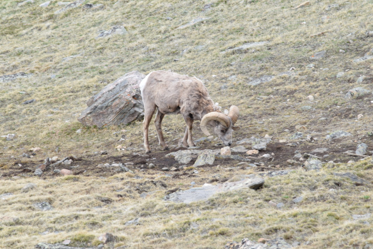 DSC_0446.jpg