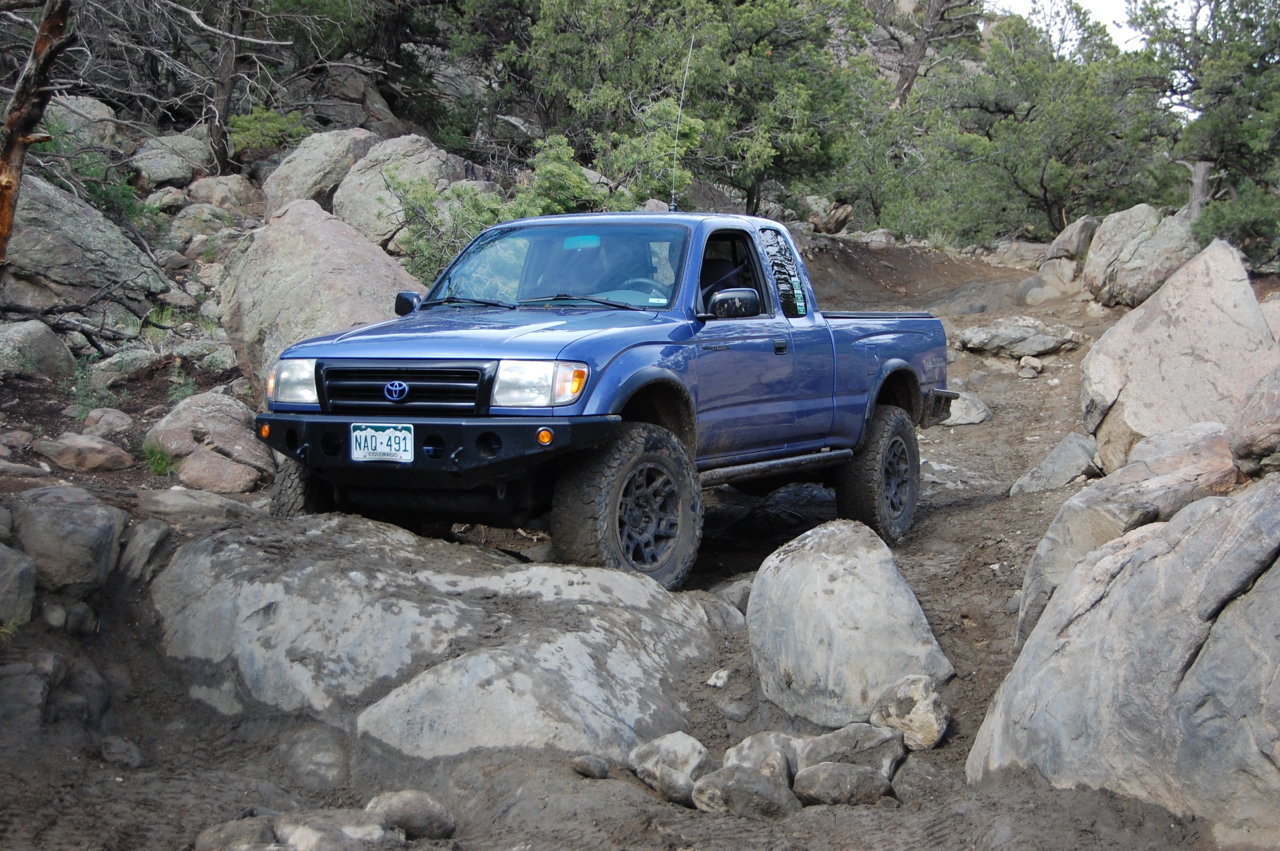 DSC_0446.jpg