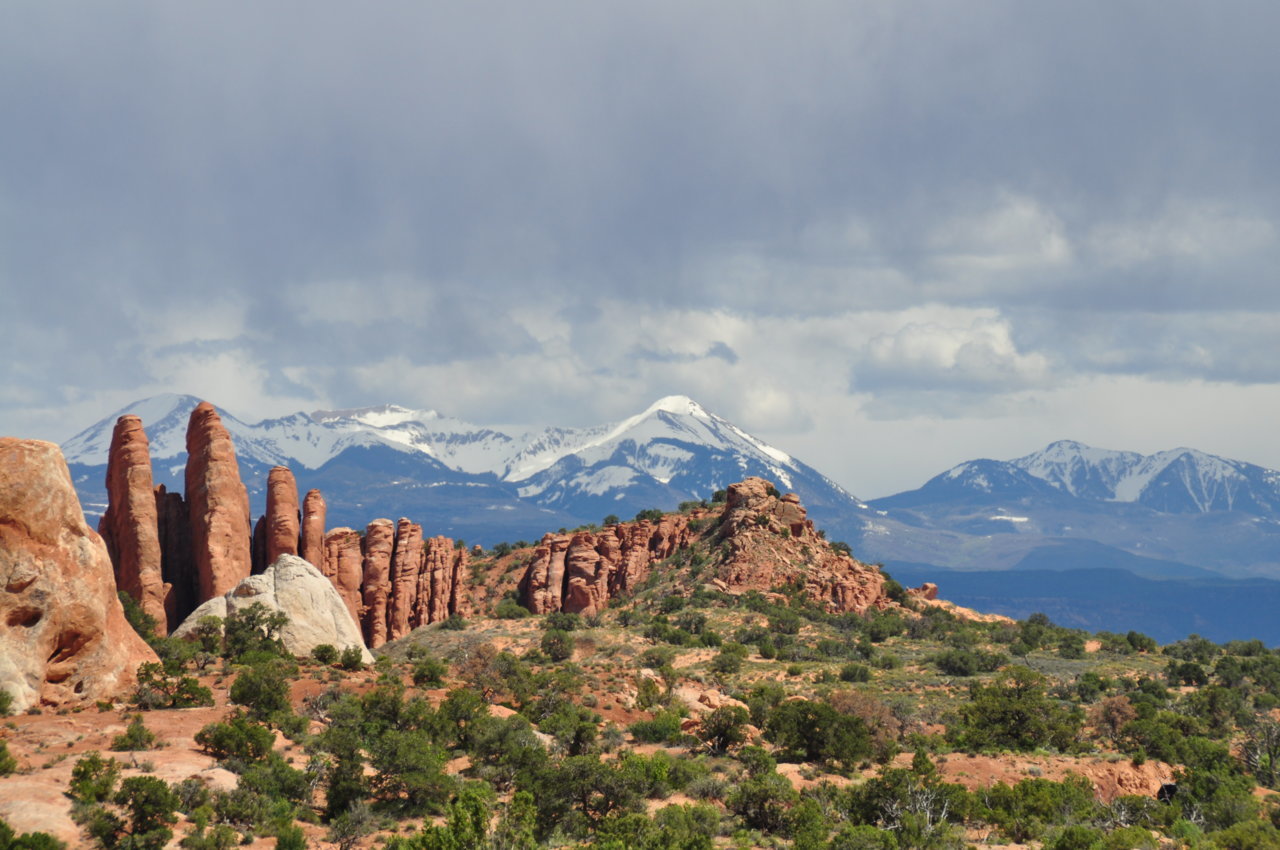 DSC_0447.jpg