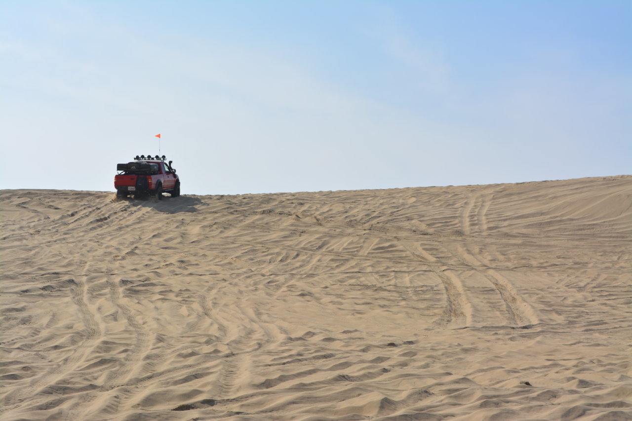 DSC_0448.jpg