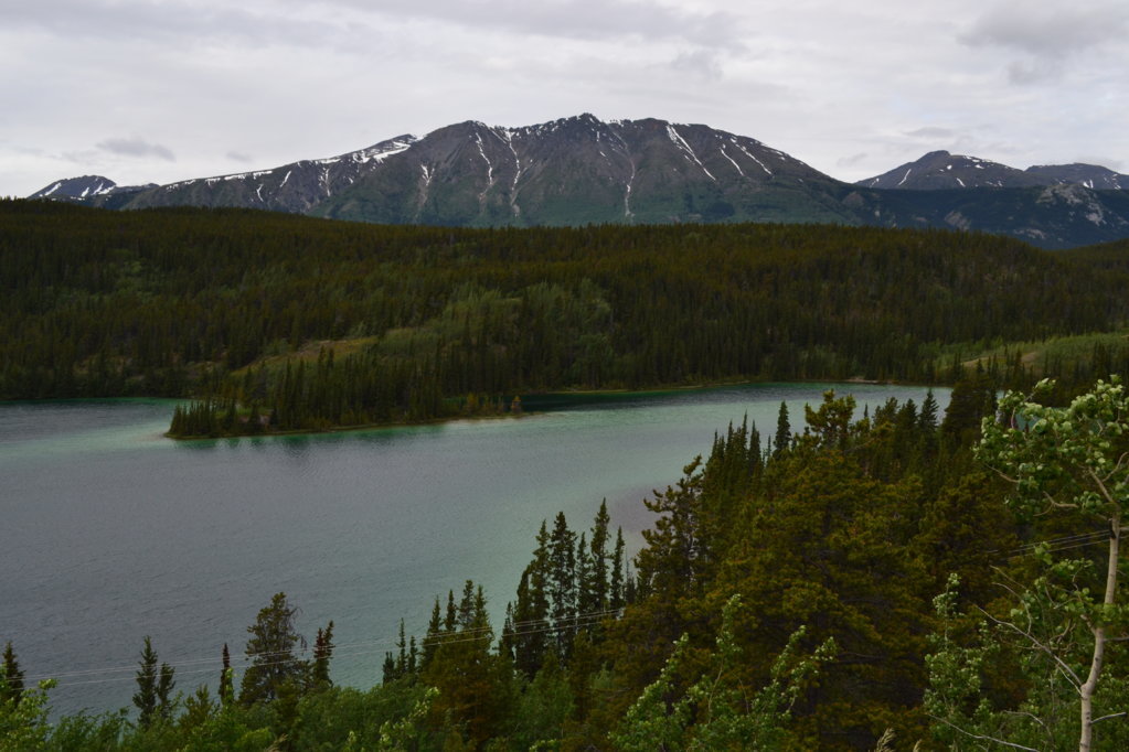 DSC_0448.jpg