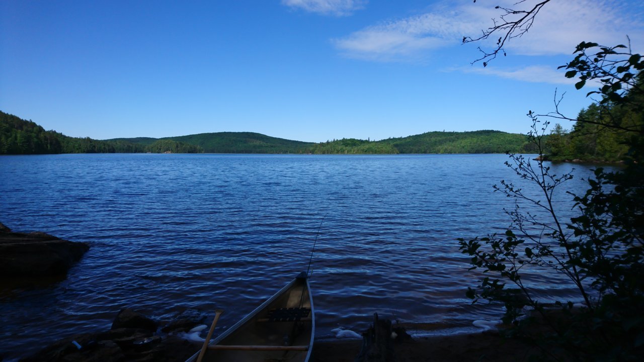 DSC_0449.jpg