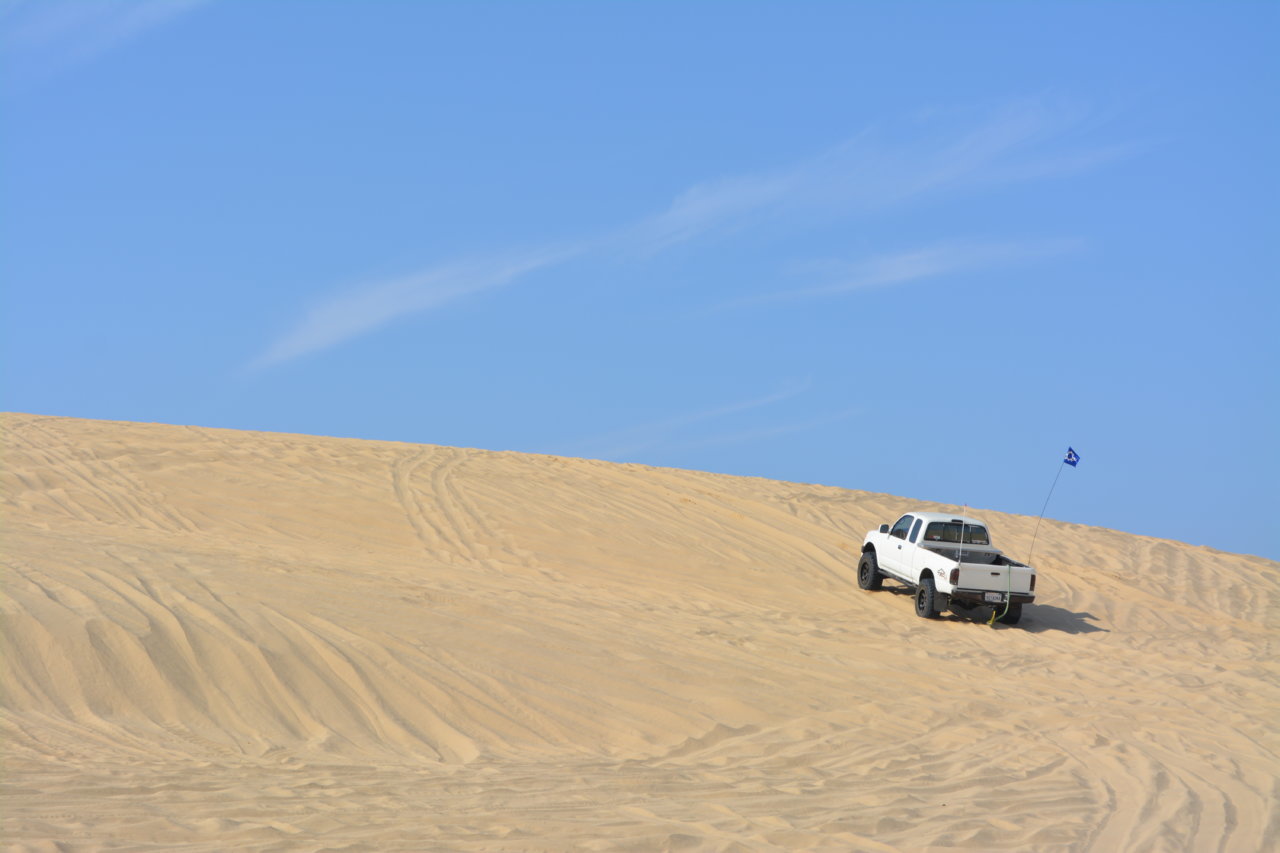 DSC_0449.jpg