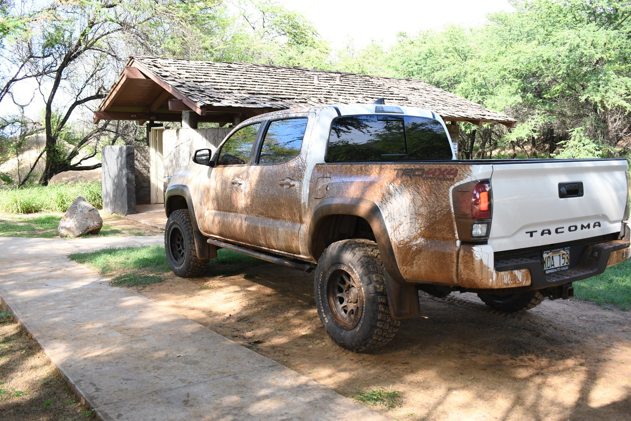 DSC_0450.jpg