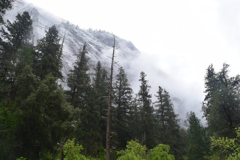 DSC_0453.jpg