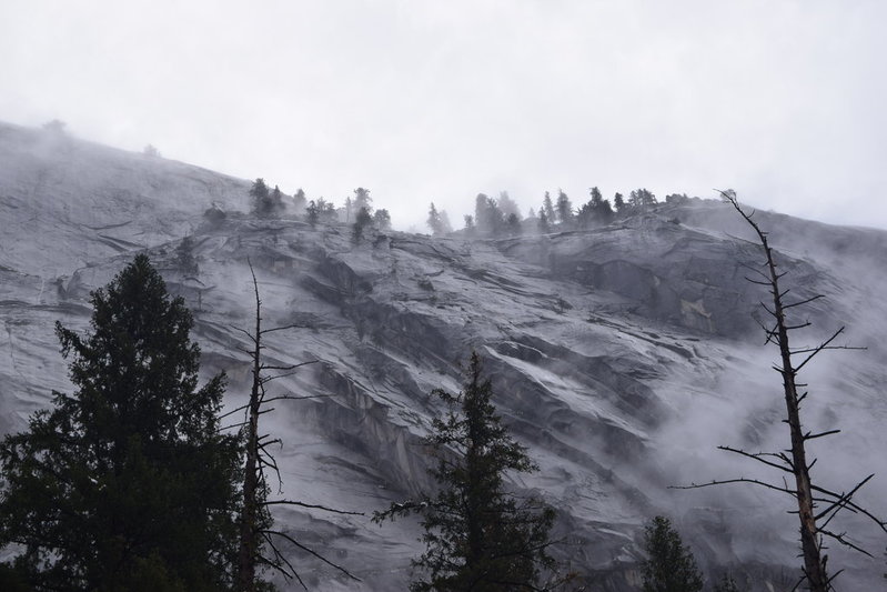 DSC_0454.jpg