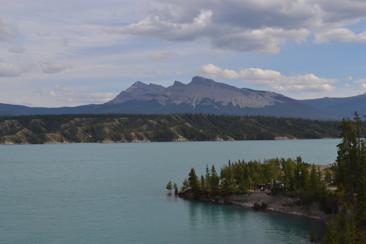 DSC_0455.jpg
