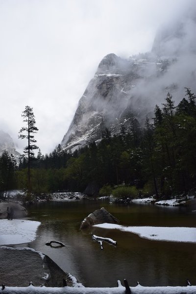 DSC_0458.jpg