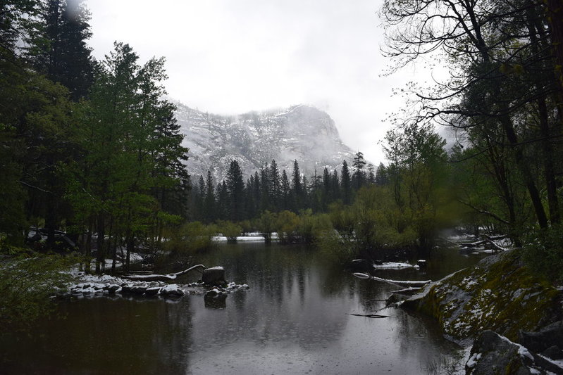 DSC_0459.jpg
