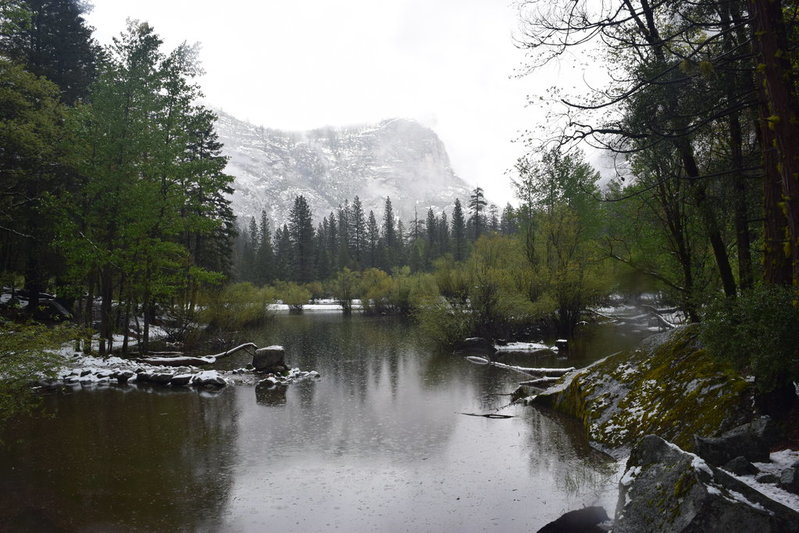 DSC_0460.jpg